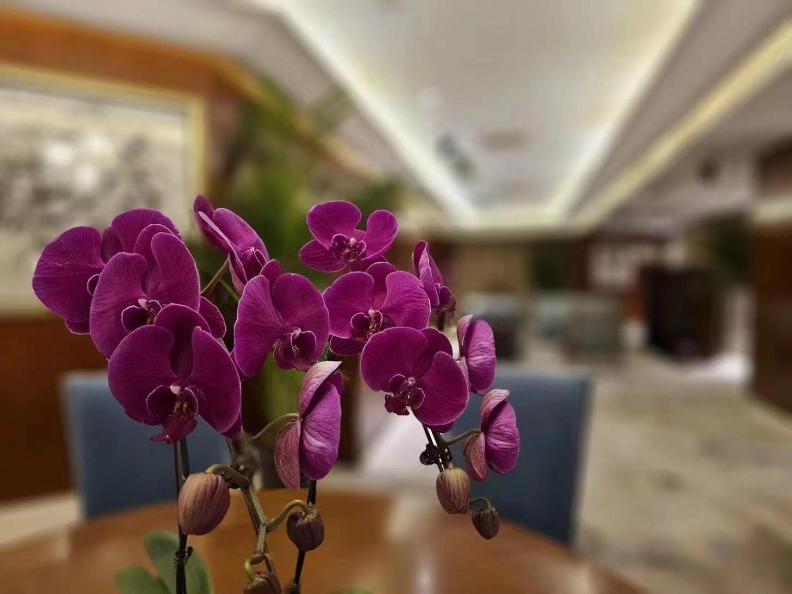 Regent Beijing Hotel Екстериор снимка